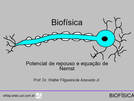 Biofísica Potencial de repouso e equação de Nernst Prof. Dr. Walter Filgueira de Azevedo Jr. wfdaj.sites.uol.com.br BIOFÍSICA.