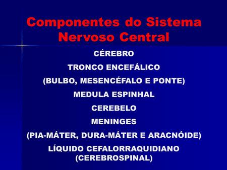 Componentes do Sistema Nervoso Central