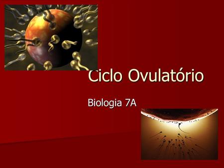 Ciclo Ovulatório Ciclo Ovulatório Biologia 7A. O ciclo ovulatório.