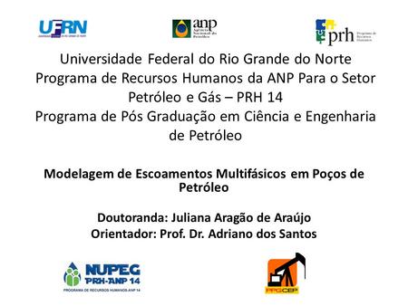 Universidade Federal do Rio Grande do Norte Programa de Recursos Humanos da ANP Para o Setor Petróleo e Gás – PRH 14 Programa de Pós Graduação em Ciência.