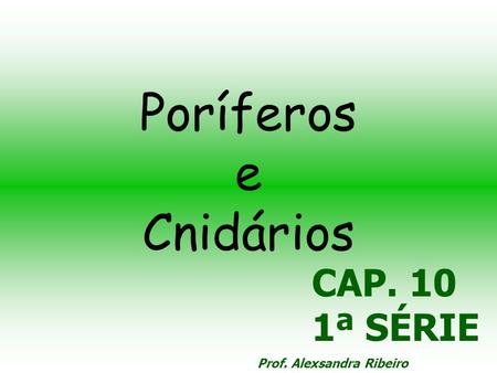 Poríferos e Cnidários CAP. 10 1ª SÉRIE Prof. Alexsandra Ribeiro.
