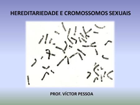 HEREDITARIEDADE E CROMOSSOMOS SEXUAIS