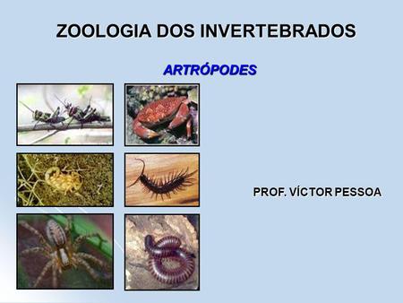 ZOOLOGIA DOS INVERTEBRADOS