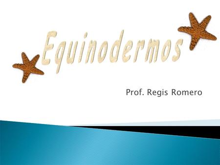 Equinodermos Prof. Regis Romero.