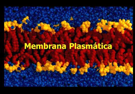 Membrana Plasmática.
