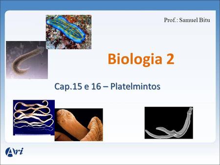Prof.: Samuel Bitu Biologia 2 Cap.15 e 16 – Platelmintos.