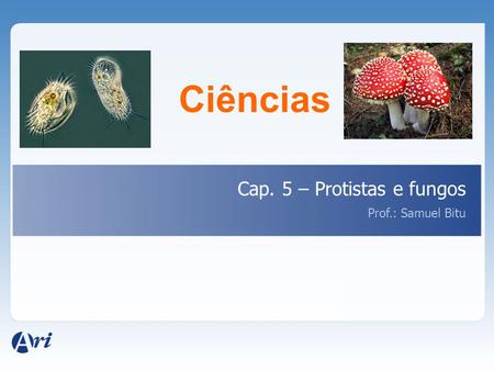 Ciências Cap. 5 – Protistas e fungos Prof.: Samuel Bitu.