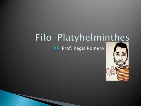 Filo Platyhelminthes Prof. Regis Romero.