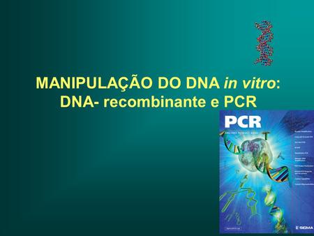 MANIPULAÇÃO DO DNA in vitro: DNA- recombinante e PCR
