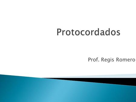 Protocordados Prof. Regis Romero.
