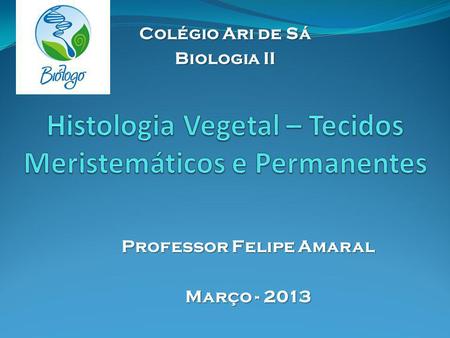 Histologia Vegetal – Tecidos Meristemáticos e Permanentes