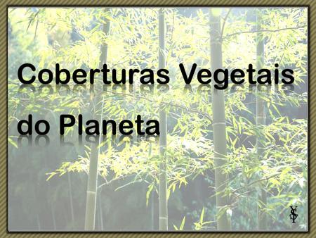 Coberturas Vegetais do Planeta