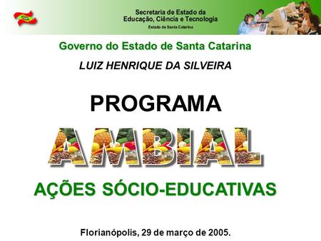 Governo do Estado de Santa Catarina LUIZ HENRIQUE DA SILVEIRA AÇÕES SÓCIO-EDUCATIVAS PROGRAMA Florianópolis, 29 de março de 2005.