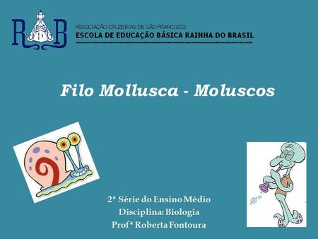 Filo Mollusca - Moluscos Profª Roberta Fontoura