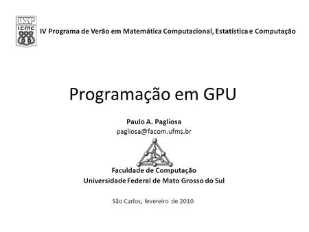 Faculdade de Computação Universidade Federal de Mato Grosso do Sul