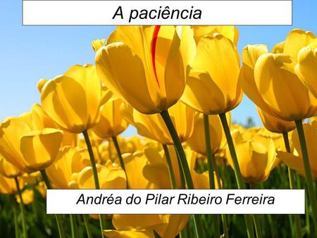 Andréa do Pilar Ribeiro Ferreira