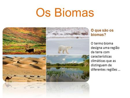Os Biomas O que são os biomas?
