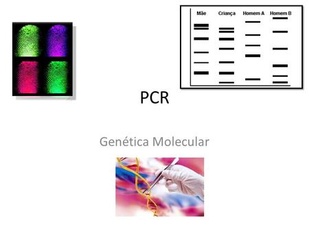 PCR Genética Molecular.
