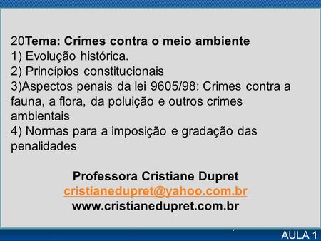 Professora Cristiane Dupret