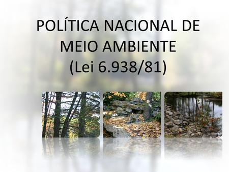 POLÍTICA NACIONAL DE MEIO AMBIENTE