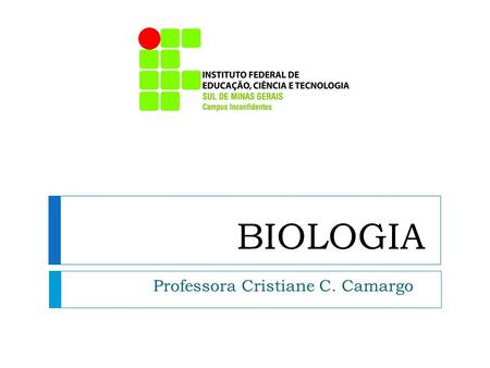 Professora Cristiane C. Camargo