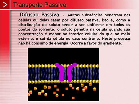 Transporte Passivo Difusão Passiva - Muitas substâncias penetram nas células ou delas saem por difusão passiva, isto é, como a distribuição do soluto.