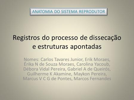 Registros do processo de dissecação e estruturas apontadas
