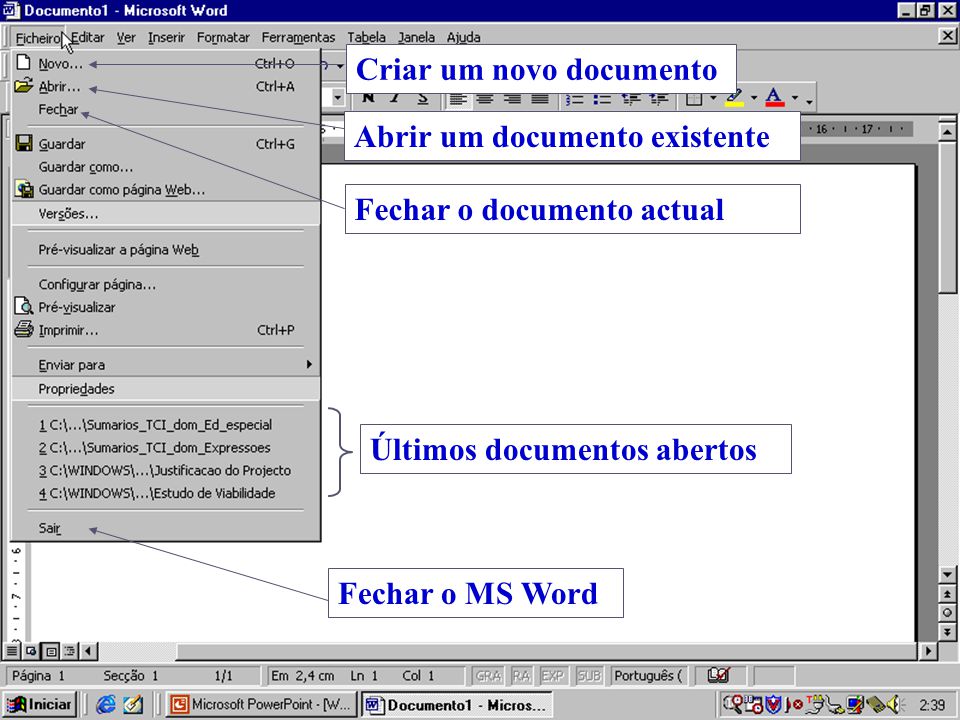 Novo (A) Documento Do Microsoft Word