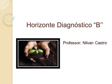 Horizonte Diagnóstico “B’’ Professor: Nilvan Castro.