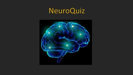 1. Que tipos de neurônios levam sinais até o cérebro? A. Interneurônios B. Neurônios motores C. Neurônios sensoriais D. Neurônios multipolares.