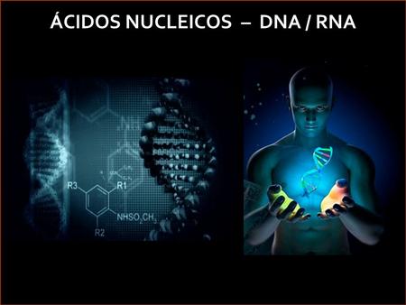 Hélio Sylvestre ÁCIDOS NUCLEICOS – DNA / RNA. Hélio Sylvestre.