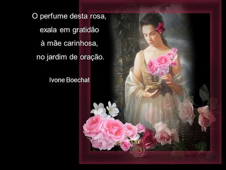 O perfume desta rosa, exala em gratidão à mãe carinhosa, no jardim de oração. Ivone Boechat 