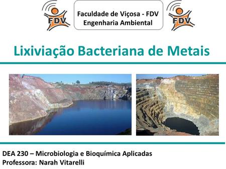 Lixiviação Bacteriana de Metais Faculdade de Viçosa - FDV Engenharia Ambiental DEA 230 – Microbiologia e Bioquímica Aplicadas Professora: Narah Vitarelli.