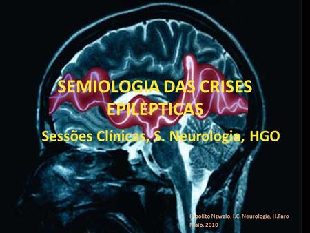 SEMIOLOGIA DAS CRISES EPILEPTICAS Hipólito Nzwalo, I.C. Neurologia, H.Faro Maio, 2010 Sessões Clínicas, S. Neurologia, HGO.