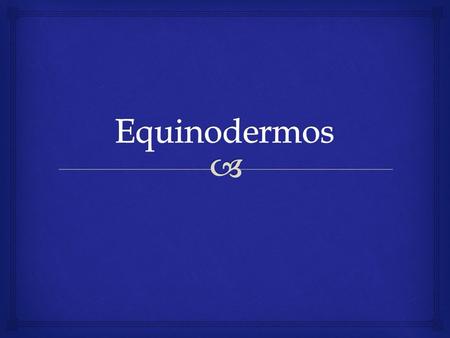   Os equinodermas (gr. echinos = espinho + derma = pele) constituem um dos filos mais distintos e facilmente reconhecíveis do reino animal, sendo abundantes.