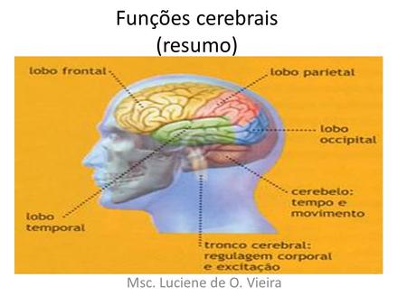 Funções cerebrais (resumo) Msc. Luciene de O. Vieira.