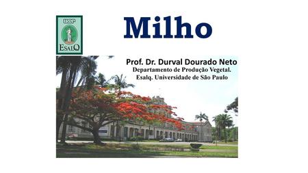 Prof. Dr. Durval Dourado Neto