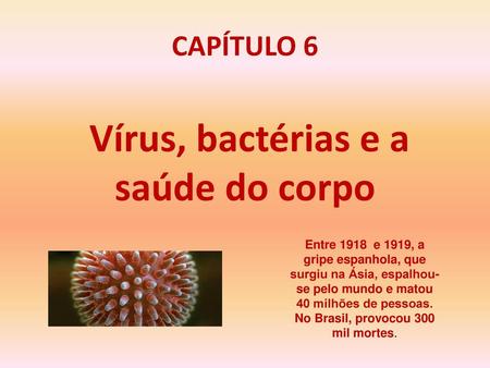 Vírus, bactérias e a saúde do corpo