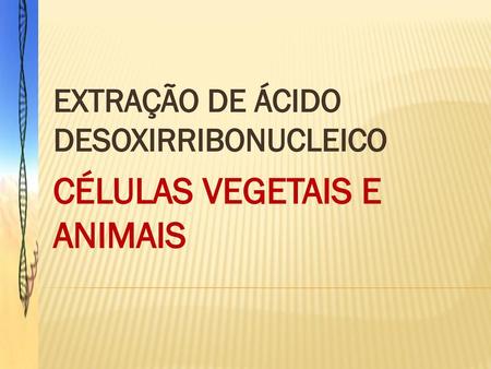 EXTRAÇÃO DE ÁCIDO DESOXIRRIBONUCLEICO CÉLULAS VEGETAIS E ANIMAIS