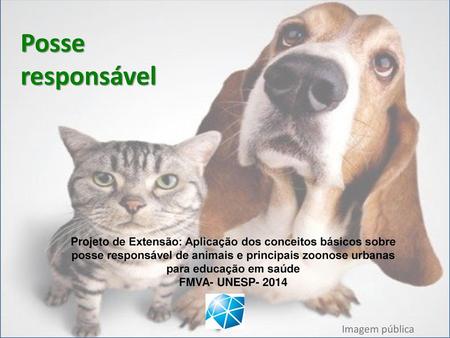 Posse responsável Projeto de Extensão: Aplicação dos conceitos básicos sobre posse responsável de animais e principais zoonose urbanas para educação em.
