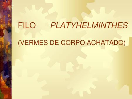 FILO PLATYHELMINTHES (VERMES DE CORPO ACHATADO)