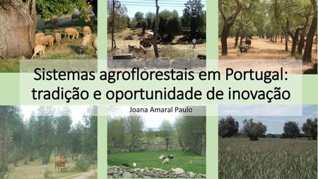 Sistemas agroflorestais em Portugal: tradição e oportunidade de inovação Joana Amaral Paulo.