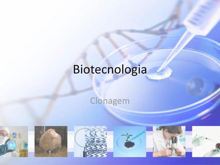 Biotecnologia Clonagem.
