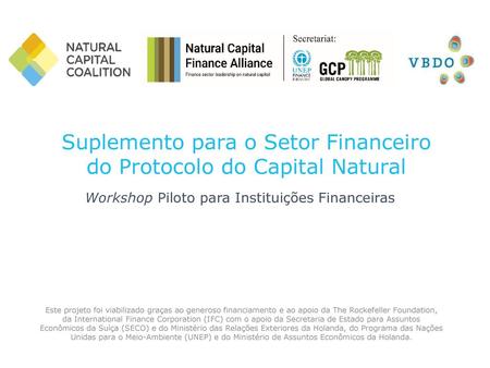 Suplemento para o Setor Financeiro do Protocolo do Capital Natural