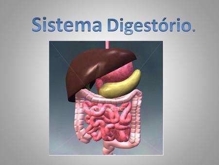 Sistema Digestório..