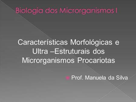 Características Morfológicas e Ultra –Estruturais dos Microrganismos Procariotas  Prof. Manuela da Silva.