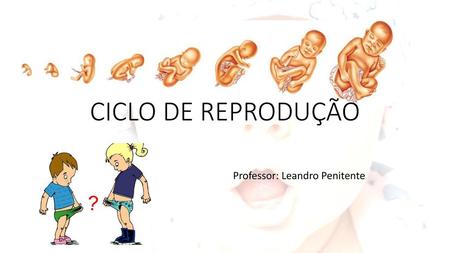 Professor: Leandro Penitente