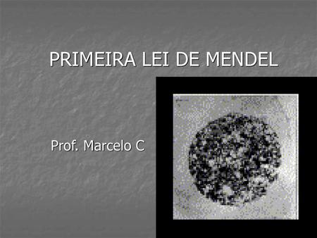 PRIMEIRA LEI DE MENDEL Prof. Marcelo C.