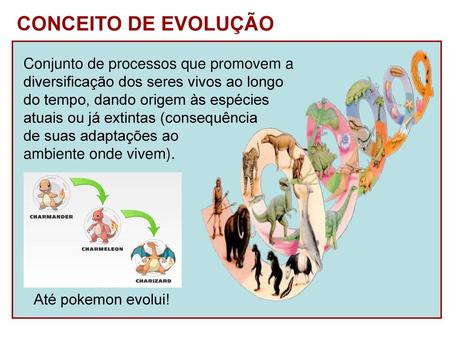 CONCEITO DE EVOLUÇÃO Conjunto de processos que promovem a
