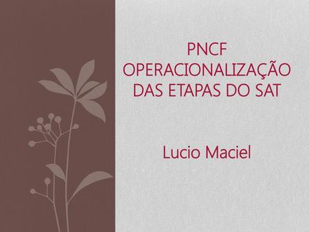 PNCF OPERACIONALIZAÇÃO DAS ETAPAS DO SAT Lucio Maciel